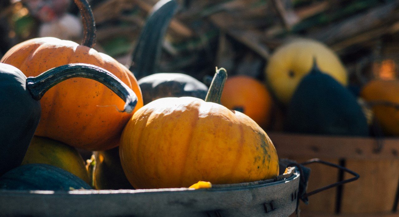 Raisin de septembre et courge d’octobre : que mettre dans son assiette automnale